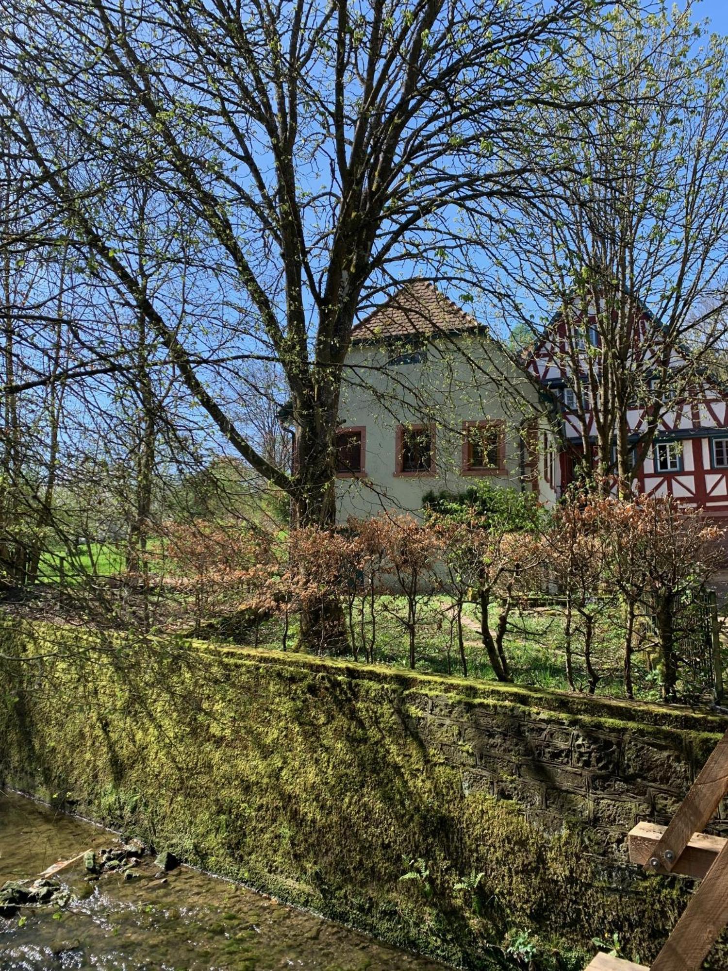 Ferienwohnung In Historischer Muehle ブーヒェン エクステリア 写真